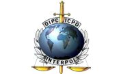 Wirtualne spotkanie Komendanta Głównego Policji z Sekretarzem Generalnym Interpolu